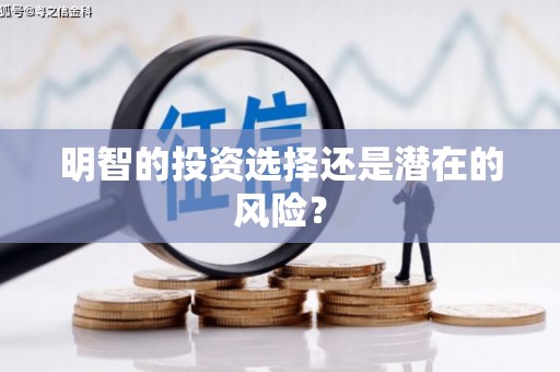 古塔明智的投资选择还是潜在的风险？