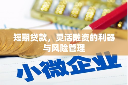古塔短期贷款，灵活融资的利器与风险管理