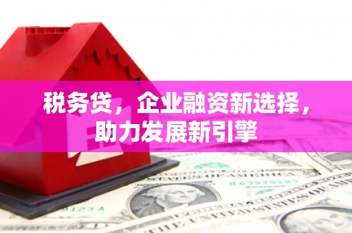 古塔税务贷，企业融资新选择，助力发展新引擎