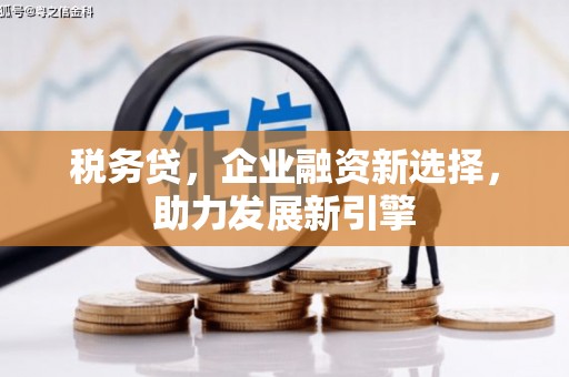 古塔税务贷，企业融资新选择，助力发展新引擎