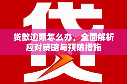 古塔贷款逾期怎么办，全面解析应对策略与预防措施