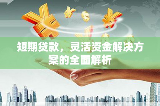 古塔短期贷款，灵活资金解决方案的全面解析