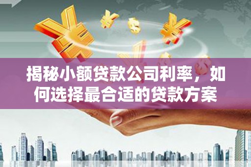 古塔揭秘小额贷款公司利率，如何选择最合适的贷款方案