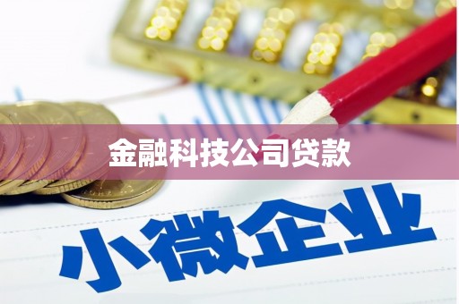 古塔金融科技公司贷款
