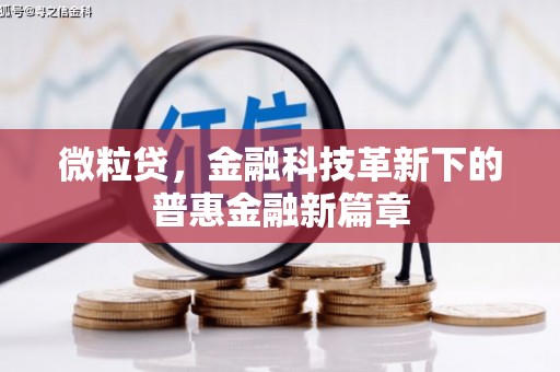 古塔微粒贷，金融科技革新下的普惠金融新篇章