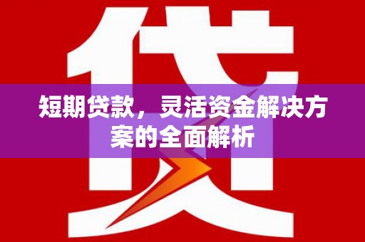 古塔短期贷款，灵活资金解决方案的全面解析
