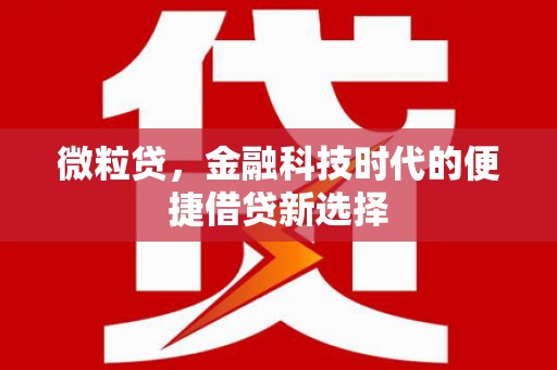 古塔微粒贷，金融科技时代的便捷借贷新选择