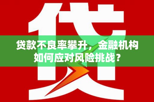 古塔贷款不良率攀升，金融机构如何应对风险挑战？