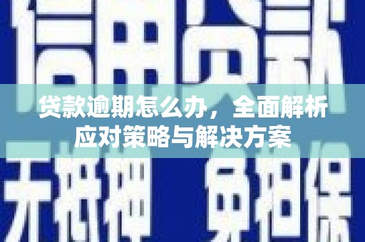 古塔贷款逾期怎么办，全面解析应对策略与解决方案
